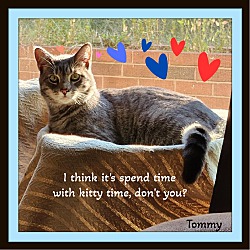 Thumbnail photo of Sally bonded w/ Tommy #2