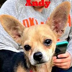Thumbnail photo of Andy the Roo #4