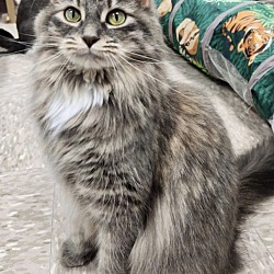 Photo of Josephine