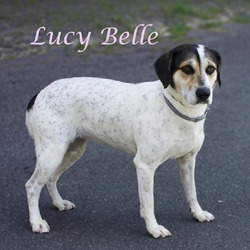 Thumbnail photo of Lucy Belle D24-099 #4