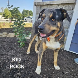 Thumbnail photo of Kid Rock #1