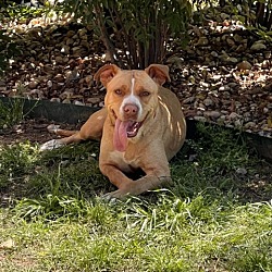 Photo of Lexi