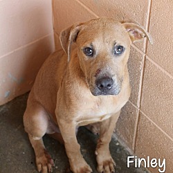 Thumbnail photo of Finley #2