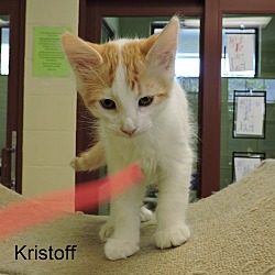 Thumbnail photo of Kristoff #4