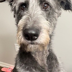 Photo of Tula