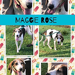 Thumbnail photo of Maggie Rose ~ meet me! #2