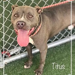 Thumbnail photo of TITUS (R) #2