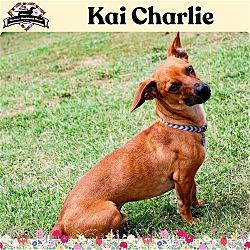 Photo of Kai Charlie