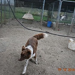 Thumbnail photo of Jesse #2