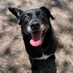 Photo of Baylor