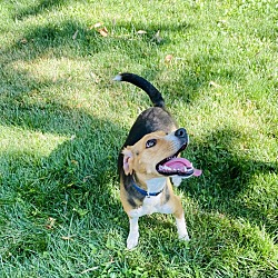 Photo of Lilly