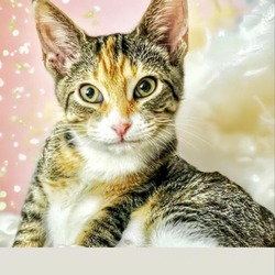 Thumbnail photo of Tabitha #1