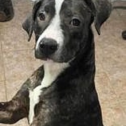Photo of Skye