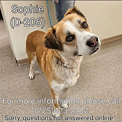 Photo of Sophie