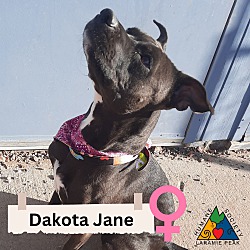 Thumbnail photo of Dakota Jane #1