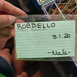 Thumbnail photo of Robbello #3