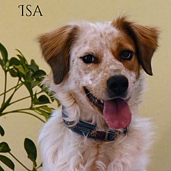 Thumbnail photo of Isa #1