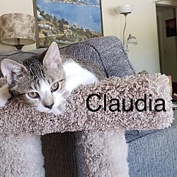 Photo of Claudia (rachel)