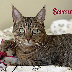 Photo of Serena