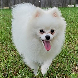 Photo of Marty