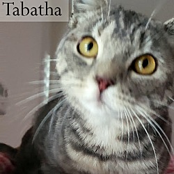 Thumbnail photo of Tabatha #2