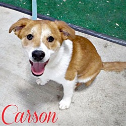 Thumbnail photo of Carson #2
