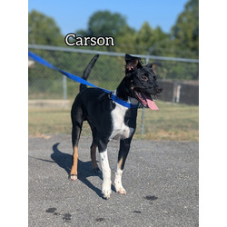 Thumbnail photo of Carson #1