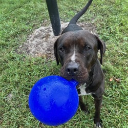 Thumbnail photo of Tippy Taps #4