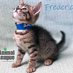 Thumbnail photo of Frederick #2