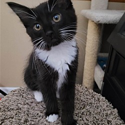 Photo of Marlo