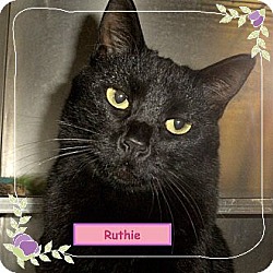 Thumbnail photo of Ruthie #1