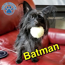 Thumbnail photo of Batman #1