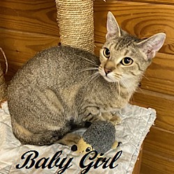 Thumbnail photo of Baby Girl #3