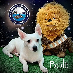Thumbnail photo of Bolt #2
