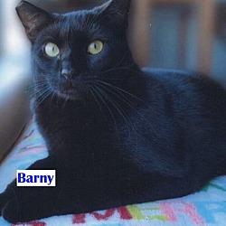 Photo of Barny