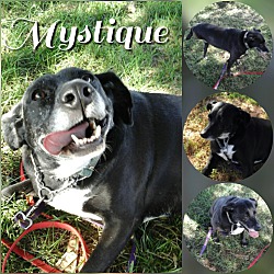 Photo of Mystique