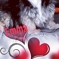 Thumbnail photo of Emma #4