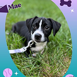 Photo of Mae