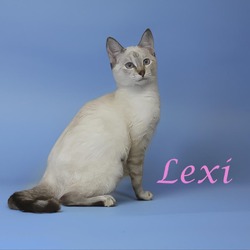 Thumbnail photo of Lexi C24-266 #4