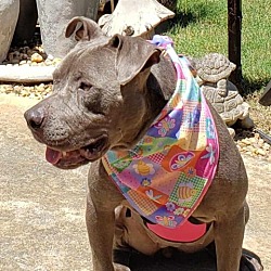 Thumbnail photo of Love Bug #2