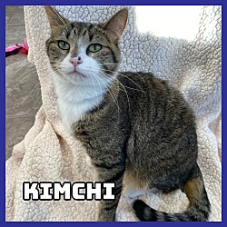 Photo of Kimchi