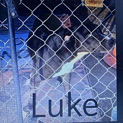 Photo of luke