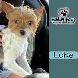 Photo of Luke