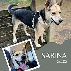 Thumbnail photo of Sarina #1