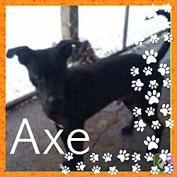 Photo of Axe