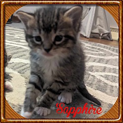 Thumbnail photo of Sapphire #1