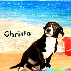 Thumbnail photo of Christo ~ meet me! #3