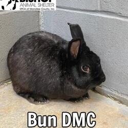Photo of Bun DMC