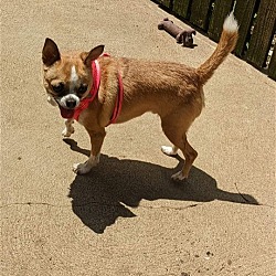 Thumbnail photo of SAMMI #1