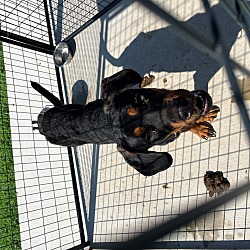 Photo of Batman